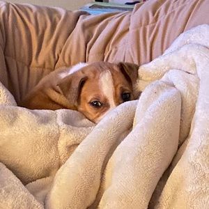 Meet your Posher, Michel